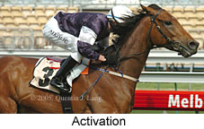 Activation (17710 bytes)