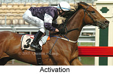 Activation (17710 bytes)