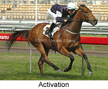 Activation (17710 bytes)