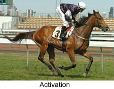 Activation (17710 bytes)