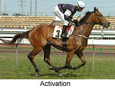 Activation (17710 bytes)