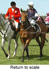 Return to scale (16571 bytes)