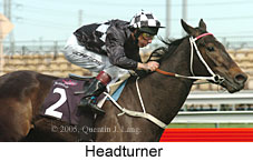 Headturner  (17710 bytes)