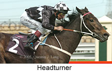 Headturner  (17710 bytes)