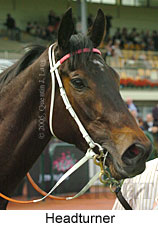 Headturner  (17710 bytes)