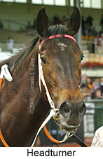 Headturner  (17710 bytes)