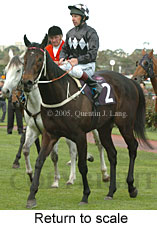 Return to scale (16571 bytes)