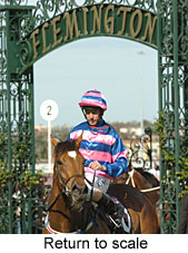 Return to scale (16571 bytes)