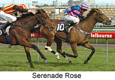 Serenade Rose  (17710 bytes)