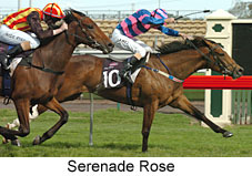 Serenade Rose (18229 bytes)