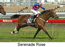 Serenade Rose  (17710 bytes)