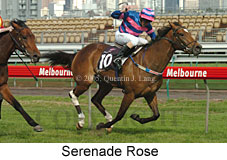 Serenade Rose  (17710 bytes)