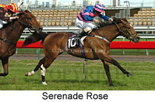 Serenade Rose  (17710 bytes)