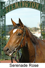 Serenade Rose  (17710 bytes)