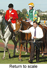 Return to scale (16571 bytes)