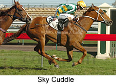 Sky Cuddle (18229 bytes)