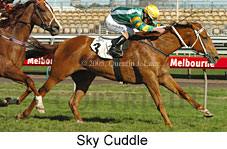 Sky Cuddle  (17710 bytes)