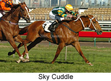 Sky Cuddle  (17710 bytes)