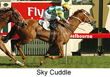 Sky Cuddle  (17710 bytes)