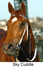 Sky Cuddle  (17710 bytes)