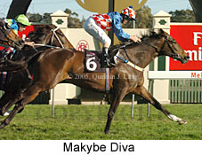 Makybe Diva  (17710 bytes)