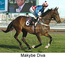 Makybe Diva  (17710 bytes)