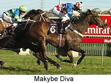 Makybe Diva  (17710 bytes)