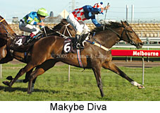 Makybe Diva  (17710 bytes)