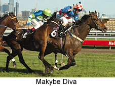 Makybe Diva  (17710 bytes)