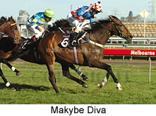 Makybe Diva  (17710 bytes)