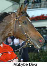 Makybe Diva  (17710 bytes)