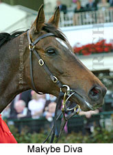 Makybe Diva  (17710 bytes)