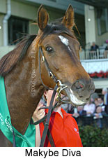 Makybe Diva  (17710 bytes)