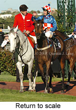 Return to scale (16571 bytes)