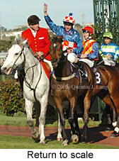 Return to scale (16571 bytes)