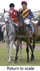 Return to scale (13905 bytes)