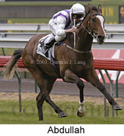 Abdullah (13160 bytes)