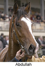 Abdullah (11030 bytes)