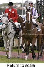 Return to scale (15377 bytes)