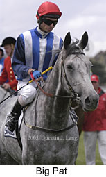 Big Pat (13872 bytes)