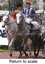 Return to scale (15409 bytes)