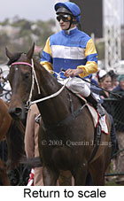 Return to scale (12708 bytes)