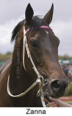 Zanna (9459 bytes)