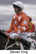 Steven King (11095 bytes)