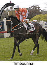 Timbourina (15007 bytes)