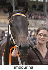 Timbourina (15007 bytes)