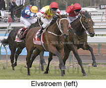 Elvstroem (16358 bytes)