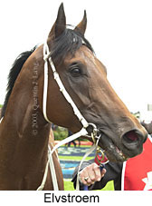 Elvstroem (12142 bytes)