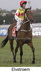 Elvstroem (11538 bytes)