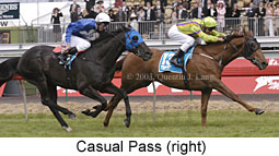 Casual Pass (17270 bytes)